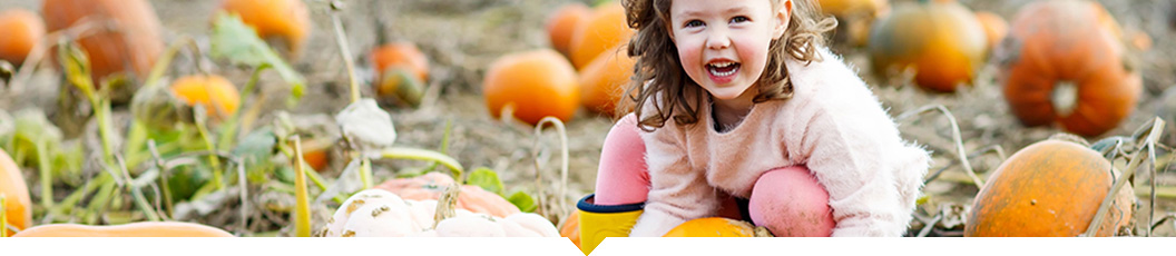 Fun Fall Activities that the Kids Will Love