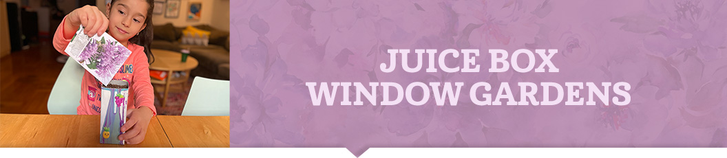 Juice Box Window Gardens