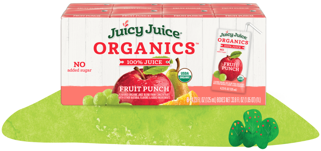juicy juicy organics fruit punch