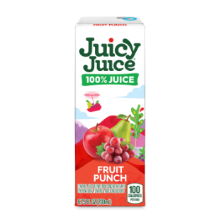 juicy juice fruit punch juice box